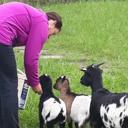 בית הארחה Richnow's Bett Und Bike Ehem. Landgasthof