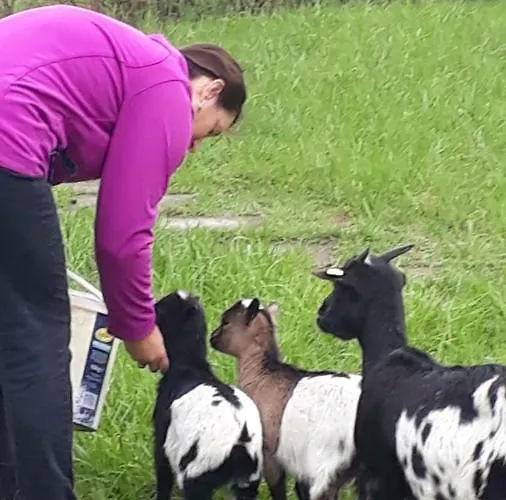 بيت ضيافة Richnow's Bett Und Bike Ehem. Landgasthof